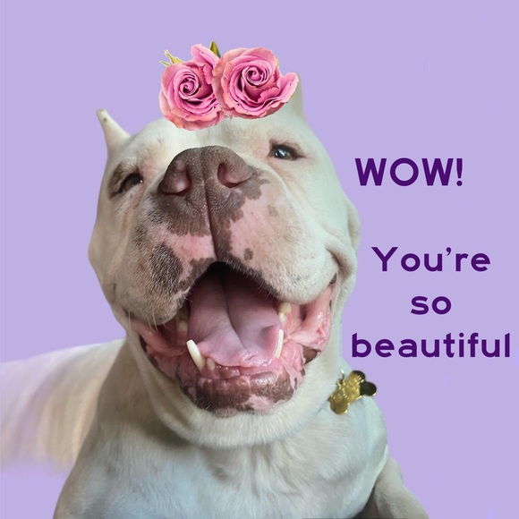 Levi’s low Pro Mid-Rise 90’s-Inspired Straight Leg Distressed Jeans Size: 28 - Picture 14 of 14